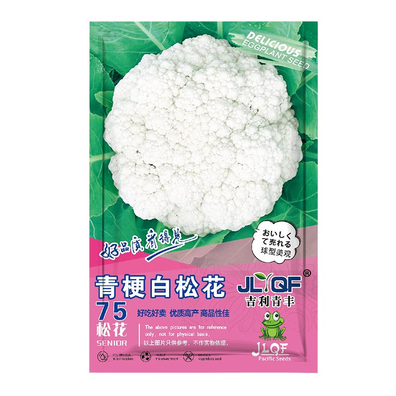 青梗松花菜种子75种籽