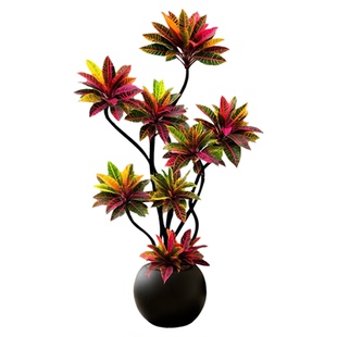 造型变色木高级感客厅绿植盆栽大型变叶木室内植物轻奢办公室好养