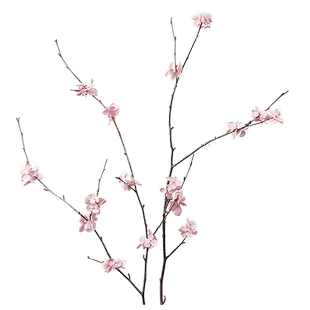 手工客厅干枝花束树枝树干玉兰樱花桃花装饰落地干花枯枝插花真花