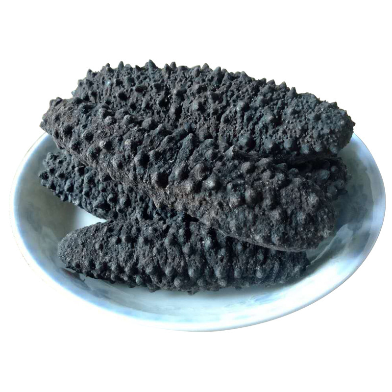 辽参鲜活即食散装野生海参