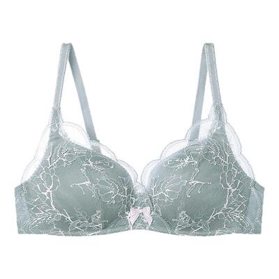 文胸蕾丝薄款维斯安莉芳聚拢性感