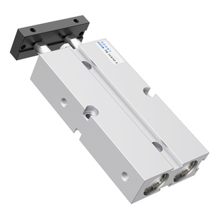 小型双轴双杠气缸TN25*10/20X15X25X30X40X50X60X75X80X100X125S