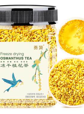贡苑桂林冻干黄金桂花茶当季新花