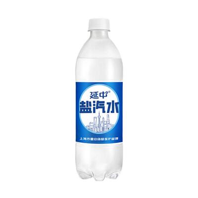 延中盐汽水600ml*20瓶官方旗舰