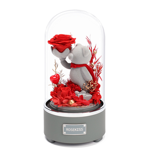 ROSEKISS告白小熊玫瑰花永生花礼盒新年情人节送女生朋友生日礼物
