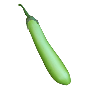 四季茄子苗秧苗带土适合冬天种的菜苗本地老品种当季苗蔬菜苗大全