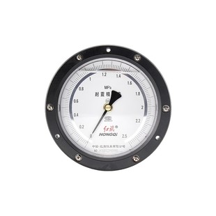 厂家直销 红旗牌仪表 YBN-150ZT 抗震轴向精密压力表 0.4级