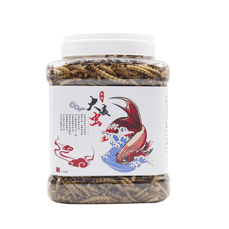 面包虫干鱼饲料金龙鱼大中型鱼