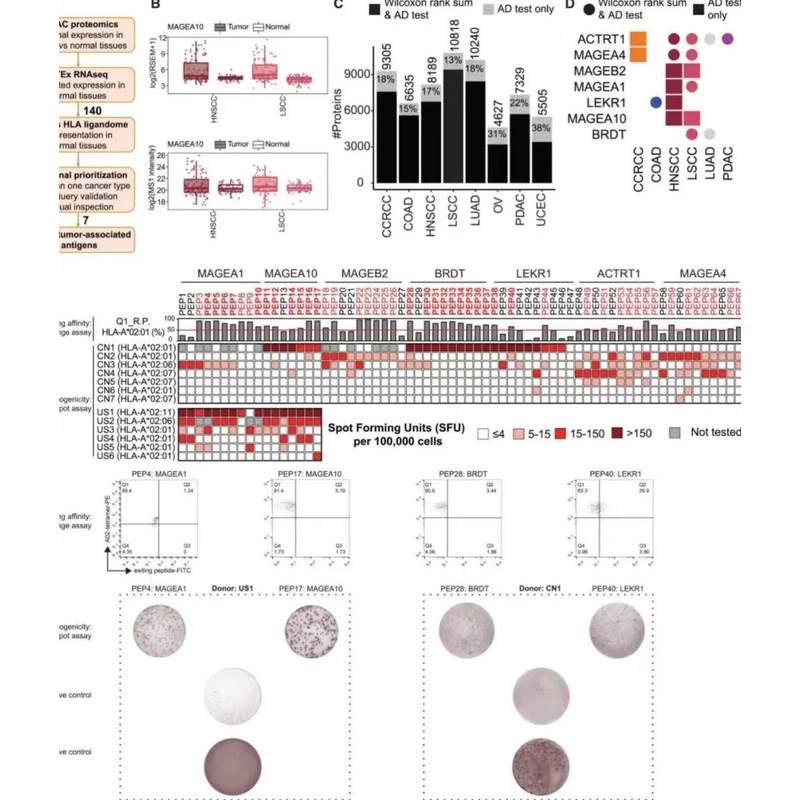 生信分析数据测序教学生信指导服务辅导预后模型geo tcga挖掘咨询