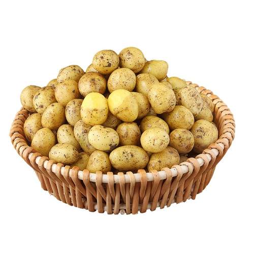 恩施小土豆新鲜马铃薯5斤正宗黄心薄皮土豆洋芋现挖蔬菜10马铃薯