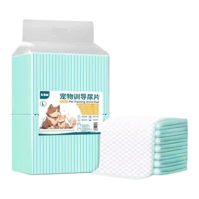 狗狗尿垫加厚瞬吸除臭宠物用品