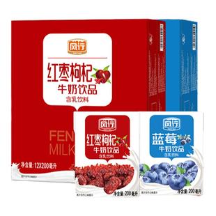 风行牛奶酸味/红枣/蓝莓牛奶饮品含乳饮料整箱多款任选官方旗舰店