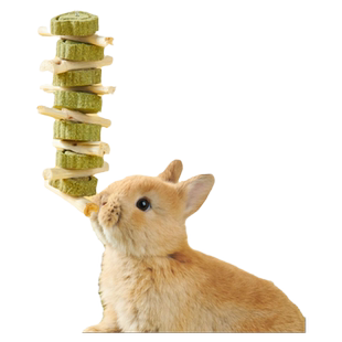 洁西兔子磨牙零食草饼甜竹串龙猫豚鼠荷兰猪草圈磨牙棒啃咬小玩具