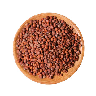 莱菔子500克g中药材新货正品生莱服子非炒熟萝卜籽白萝卜莱菔子粉