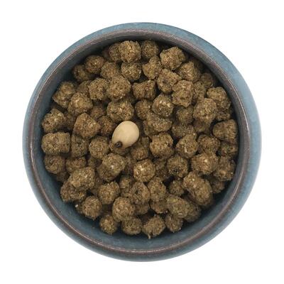 西蜀堂手工白颈渡鸦训练专用饲料