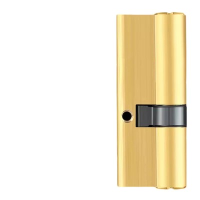 全铜防盗锁锁芯，铜芯带8把钥匙