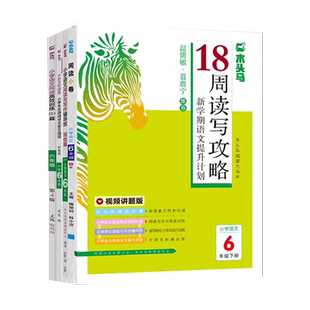 好玩的化学+生物·人体全8册 7-12岁青少年小学生初中课外科普兴趣读物阅读书籍 从细胞到器官/骨骼和肌肉系统/呼吸系统/免疫系统