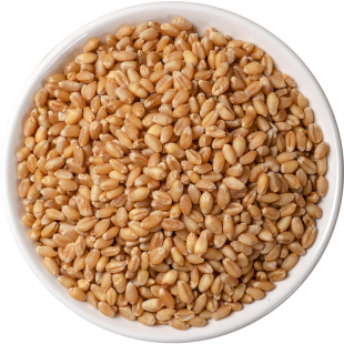 新货淮小麦中药材500g克正品甘麦大枣汤原料怀小麦另售甘草大红枣