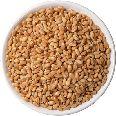 精选淮小麦中药材正品新货