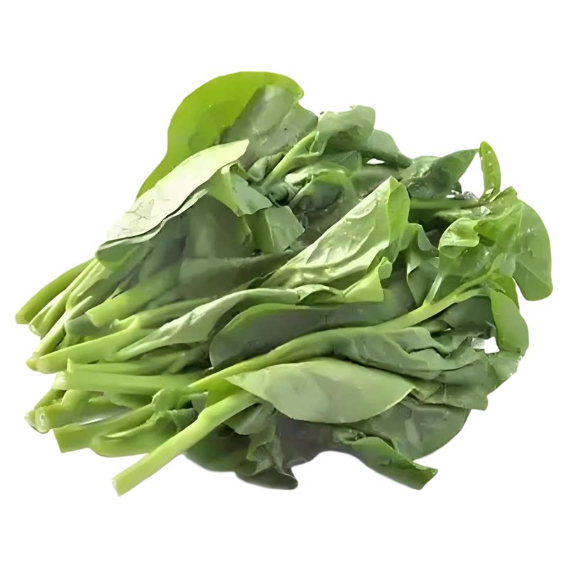 四季大叶木耳菜种子爬藤豆腐菜种家庭园艺种子