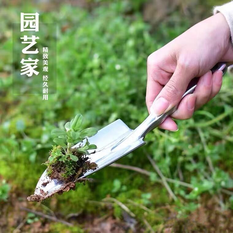 家用多肉园艺种花套装小铁铲铁锹赶海挖菜养花栽花迷你园艺工具