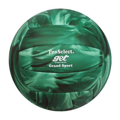 ProSelect专选排球中考学生专用球5号儿童小学生4号软皮充气硬排