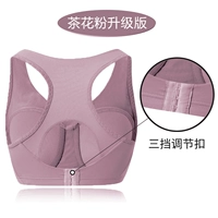 Dai Pink [Back Decuction]