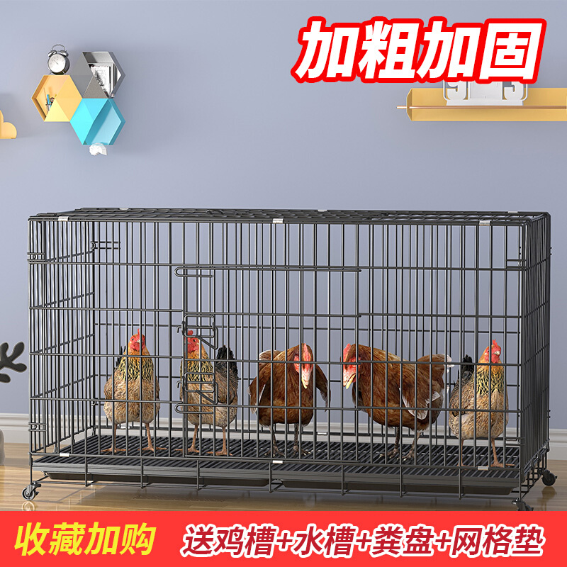 新鸡笼家用室内大号特大号家庭家禽养鸡笼室外养殖笼阳台折叠鸡品