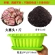 Огненная луковая балкона для горшки набор для муки лука 1 кот 3 Catties почва плюс горшок