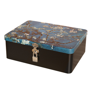 带锁收纳箱家用桌面保管盒首饰储物箱马口铁盒子文件密码锁收纳盒