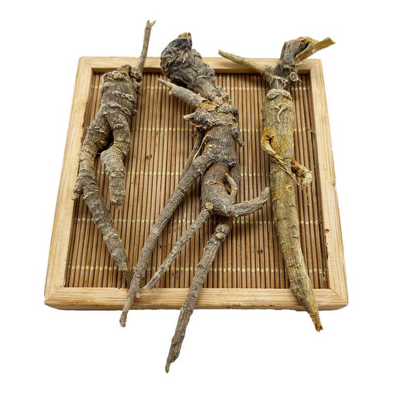 野生三七云南文山高海拔深山采挖