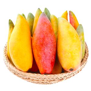 当天采摘丨核小无丝丨海南辣椒芒