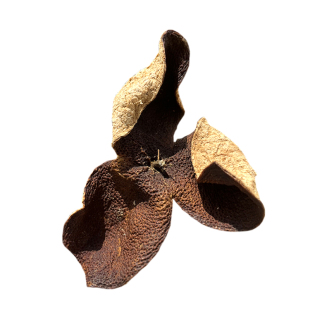 十年新会梅江陈皮泡水自然生晒老陈皮干陈皮茶广东特产官方旗舰店