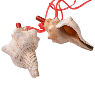 厚重奇特海螺哨子优质贝壳口哨天然认知发声简单亲子儿童玩具大号