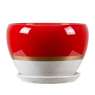 大码陶瓷花盆带托盘特大室内家用绿萝君子兰蝴蝶兰养花透气专用盆