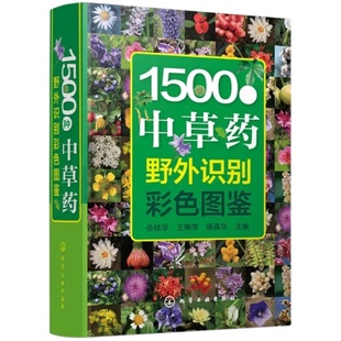 1500种中草药野外识别彩色图鉴 中草药书入门医学书籍 本草纲目 医学自学书籍中草药大全常用中药养生功效药方健康中药材识别入门