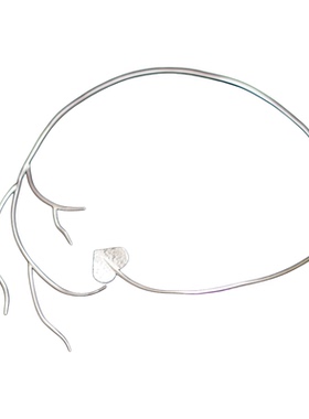 99足银心形叶子树枝项圈