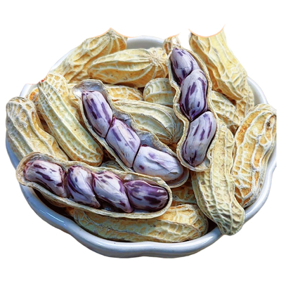 云南特产七彩花生带壳水煮咸干熟七彩野地花生米晒干五彩花生零食