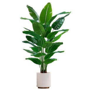 仿真绿植高端轻奢天堂鸟盆栽室内大型落地摆件装饰旅人蕉仿生植物