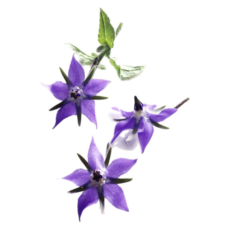 琉璃花摆盘装饰老一生鲜