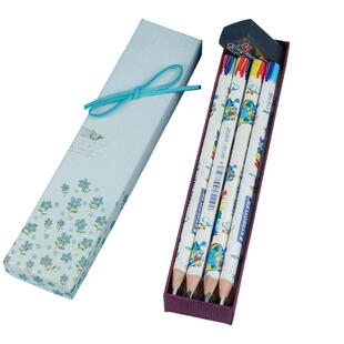 初学儿童写字幼儿园大三角形正姿笔小学生纠正握笔hb粗杆三角铅笔