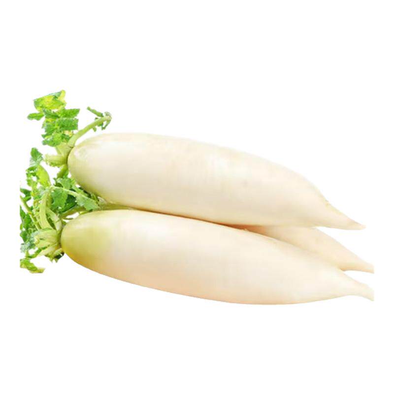 有机白萝卜5斤 有机认证 新鲜直达现摘现发0农药当季新鲜蔬菜健康