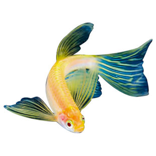 热带观赏活鱼好养红绿灯斑马淡水金鱼苗神仙孔雀小型宝莲灯科小鱼