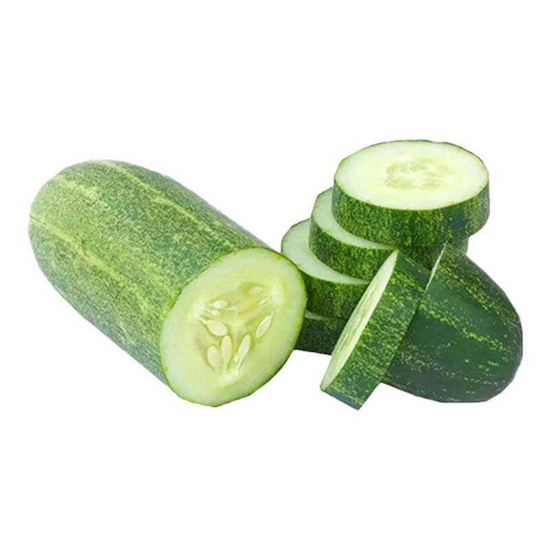 耐热盆栽四季蔬菜种孑吊瓜