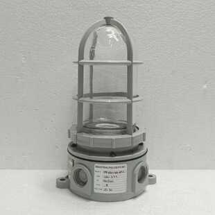 Industrial Rig Light VPP-150-1-CG-GP-C Hazardous Location Fi