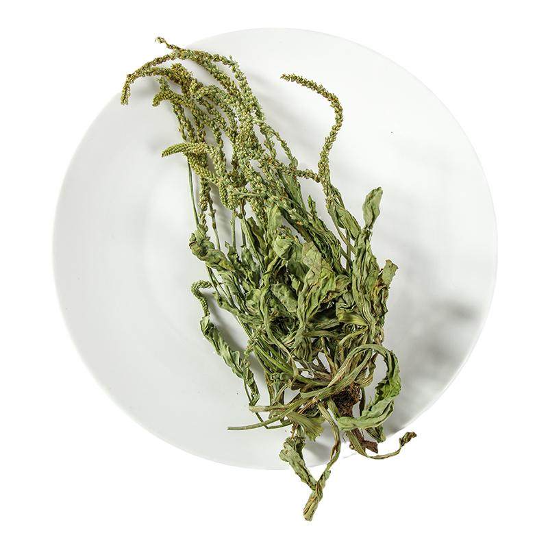云南野生整棵车前草500g新鲜无硫青色车前草干泡茶可搭配蒲公英茶