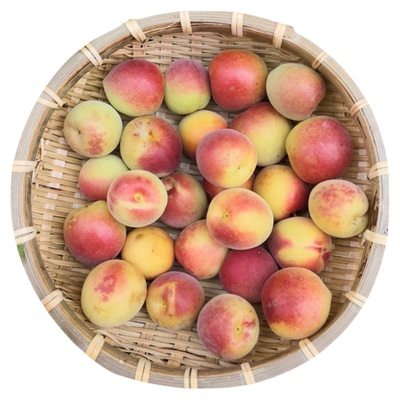 新鲜青梅胭脂红梅泡酒酵素梅露