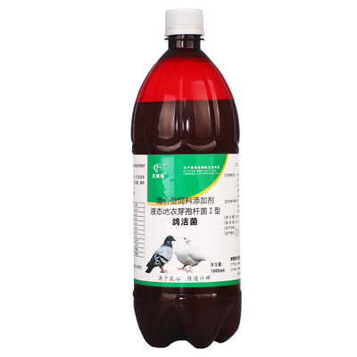 活菌鸽用非鸽子用品常见病肠道用粪便异常肝精电解质专用添加剂