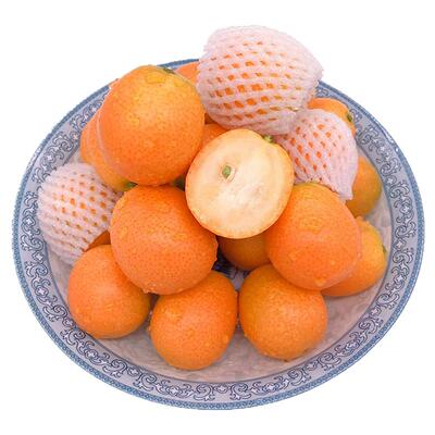 老品种油金桔制作金桔膏护嗓缓咳