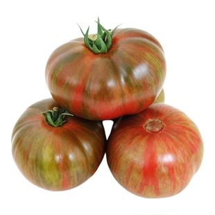 传家宝番茄种子大型野猪牛排盆栽阳台庭院老品种种籽蔬菜大西红柿